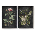 Large Framed Vintage Floral Botanical Retro Rustic Farmhouse Wall Art for Living Room Set of 2