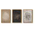 3 Piece Large Framed Neutral Modern Rustic Farmhouse Tree Ring Wall Art for Living Room