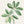 Framed Sage Green Botanical Wall Art Farmhouse Plant Artwork for Bathroom Set of 4