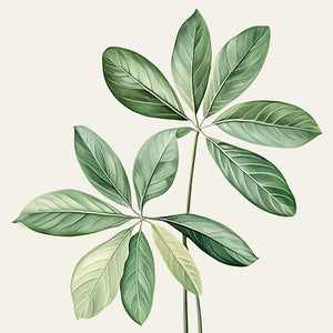 Framed Sage Green Botanical Wall Art Farmhouse Plant Artwork for Bathroom Set of 4