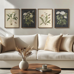 Framed Vintage Botanical Floral Wall Art for Living Room Set of 4