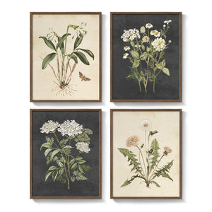 Framed Vintage Botanical Floral Wall Art for Living Room Set of 4