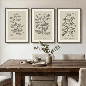 Framed 3 Piece Neutral Vintage Botanical Wall Art for Dining Room