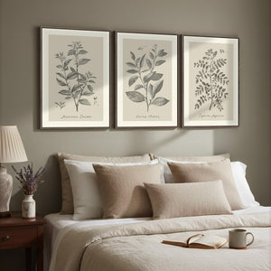 Framed 3 Piece Neutral Vintage Botanical Wall Art for Dining Room