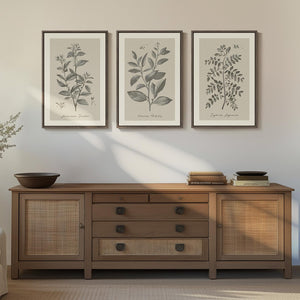 Framed 3 Piece Neutral Vintage Botanical Wall Art for Dining Room