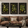 Large Vintage Framed Botanical Wall Art for Living Room, 3 Piece Dark Green Plant Set
