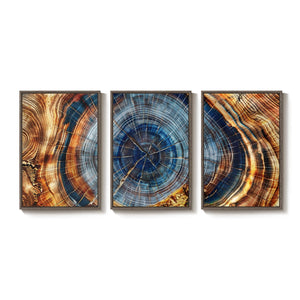 3 Piece Large Framed Colorful Tree Ring Wall Art for Living Room