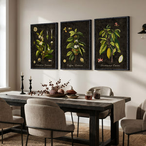 Large Vintage Framed Botanical Wall Art for Living Room, 3 Piece Dark Green Plant Set