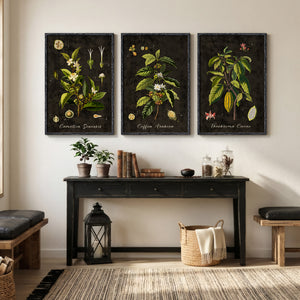 Large Vintage Framed Botanical Wall Art for Living Room, 3 Piece Dark Green Plant Set