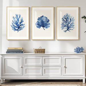 Framed Coastal Ocean Blue Coral Large Wall Art for Living Room