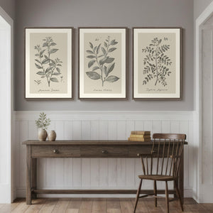 Large Framed 3 Piece Vintage Botanical Wall Art for Living Room