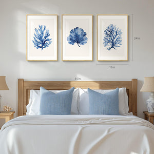 Framed Coastal Ocean Blue Coral Large Wall Art for Living Room