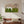 Large Framed Cozy Cat Neutral Green Canvas Wall Art Bedroom