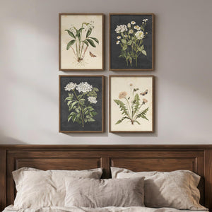Framed Vintage Botanical Floral Wall Art for Bedroom, 4 Piece