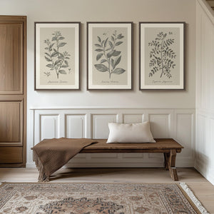 Large Framed 3 Piece Vintage Botanical Wall Art for Living Room