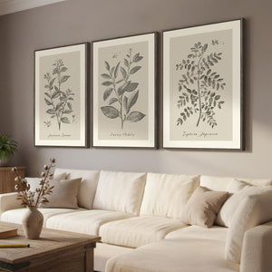 Large Framed 3 Piece Vintage Botanical Wall Art for Living Room