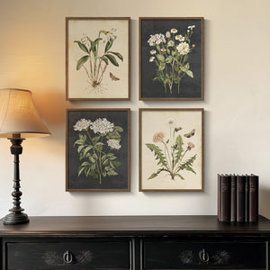 Framed Vintage Botanical Floral Wall Art for Bedroom, 4 Piece