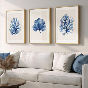 Framed Coastal Ocean Blue Coral Large Wall Art for Living Room