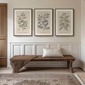 Large Framed 3 Piece Vintage Botanical Wall Art for Living Room