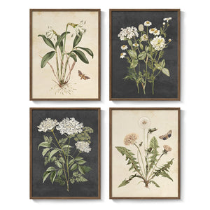 Framed Vintage Botanical Floral Wall Art for Bedroom, 4 Piece