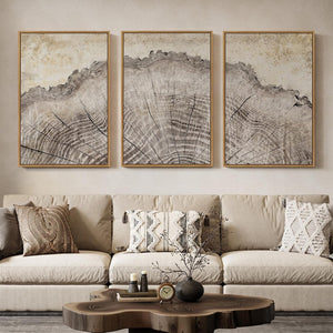 Large Framed Modern Farmhouse Tree Ring Wall Art Neutral Artwork for Living Room Set of 3
