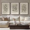 Large Framed 3 Piece Vintage Botanical Wall Art for Living Room