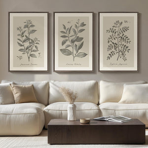 Large Framed 3 Piece Vintage Botanical Wall Art for Living Room
