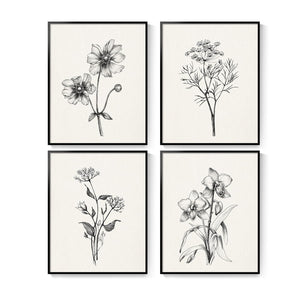 Framed Black and White Minimalist Floral Bathroom Wall Art Set of 4
