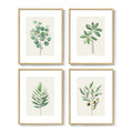 Framed Sage Green Botanical Wall Art Farmhouse Plant Artwork for Bathroom Set of 4