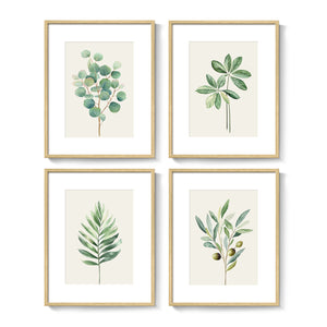 Framed Sage Green Botanical Wall Art Farmhouse Plant Artwork for Bathroom Set of 4
