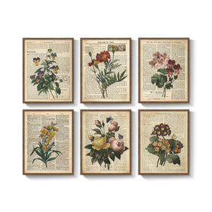 Framed Vintage Rustic Farmhouse Floral Botanical Wall Art for Living Room Set of 6