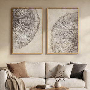 Large Framed Modern Farmhouse Neutral Wabi Sabi Tree Rings Wall Art for Living Room Set of 2