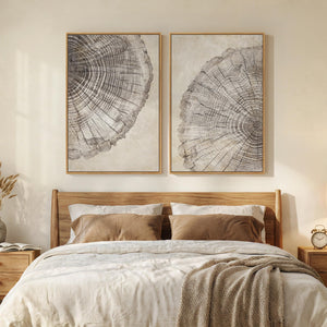 Large Framed Modern Farmhouse Neutral Wabi Sabi Tree Rings Wall Art for Living Room Set of 2