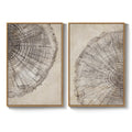 Large Framed Modern Farmhouse Neutral Wabi Sabi Tree Rings Wall Art for Living Room Set of 2