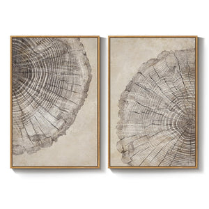 Large Framed Modern Farmhouse Neutral Wabi Sabi Tree Rings Wall Art for Living Room Set of 2