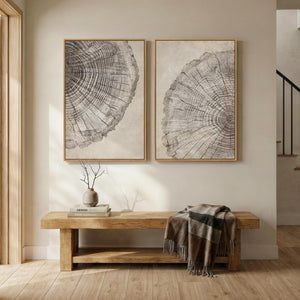 Large Framed Modern Farmhouse Neutral Wabi Sabi Tree Rings Wall Art for Living Room Set of 2