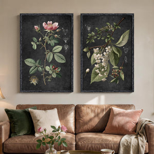 Large Framed Vintage Floral Botanical Retro Rustic Farmhouse Wall Art for Living Room Set of 2