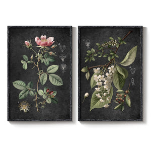 Large Framed Vintage Floral Botanical Retro Rustic Farmhouse Wall Art for Living Room Set of 2