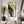 Large Framed Black White and Gold Abstract Contemporary Vertical Wall Art for Hallway