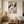 Framed Boho Mid Century Modern Neutral Abstract Tropical Botanical Vertical Wall Art for Living Room