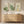 Framed Modern Minimalist Boho Sage Green Botanical Floral Wall Art for Living Room Set of 3