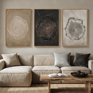 3 Piece Large Framed Neutral Modern Rustic Farmhouse Tree Ring Wall Art for Living Room