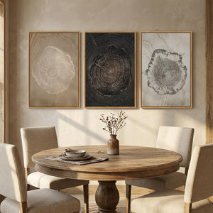3 Piece Large Framed Neutral Modern Rustic Farmhouse Tree Ring Wall Art for Living Room