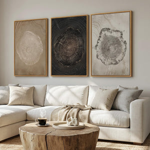 3 Piece Large Framed Neutral Modern Rustic Farmhouse Tree Ring Wall Art for Living Room