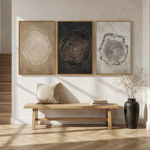 3 Piece Large Framed Neutral Modern Rustic Farmhouse Tree Ring Wall Art for Living Room
